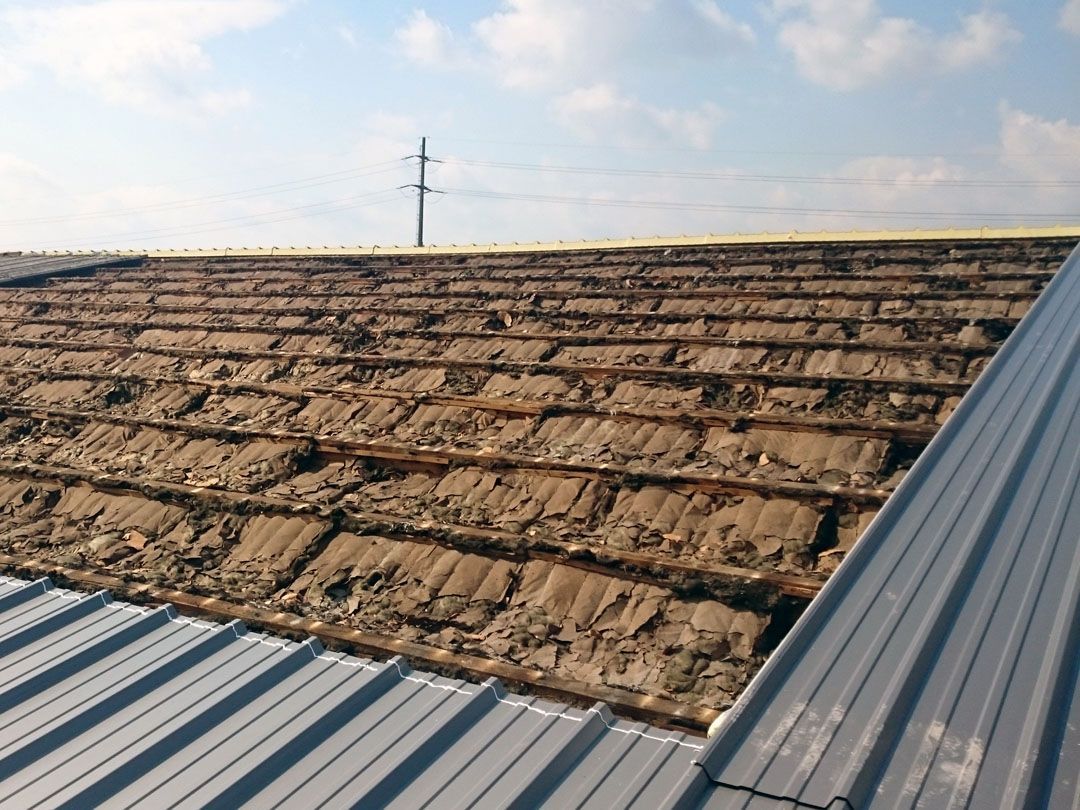 Egloff und König GmbH | Frauenfeld