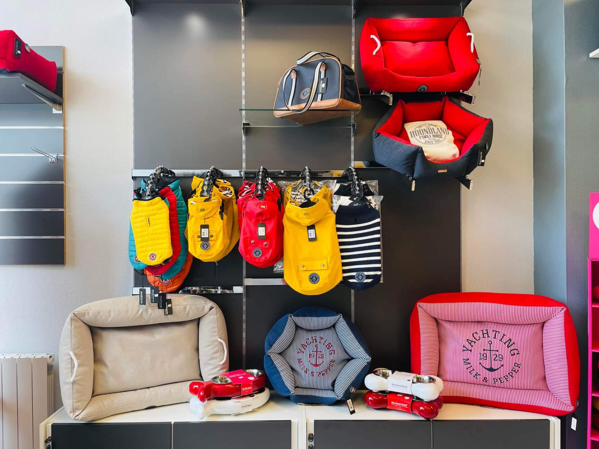 Accessoires pour chien