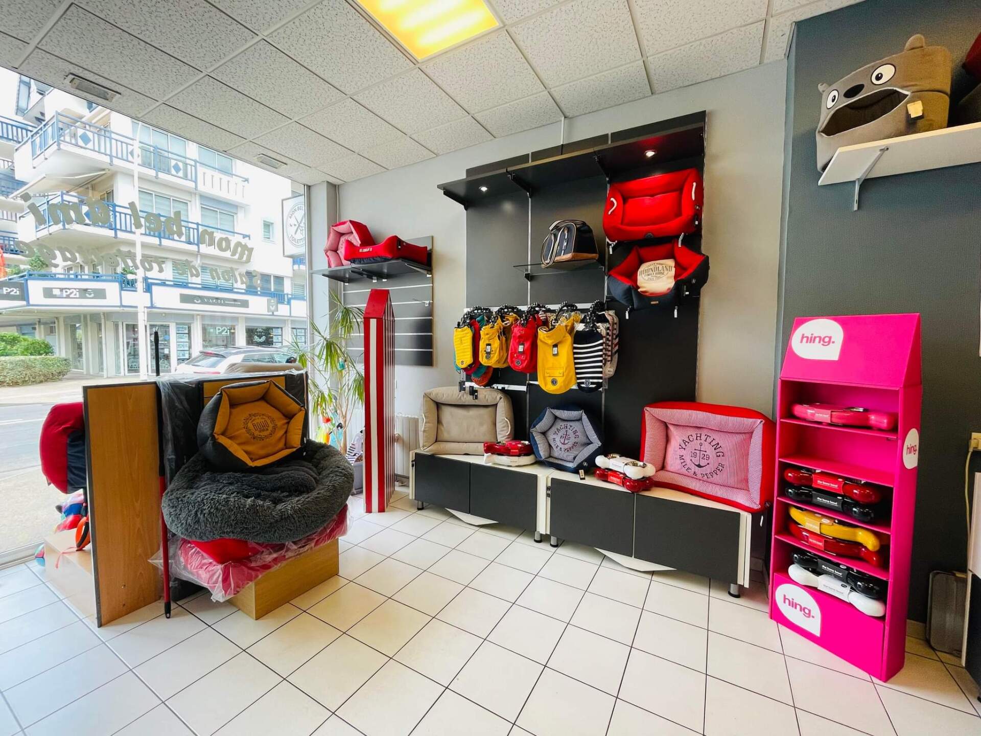 Vos accessoires canins dans notre salon