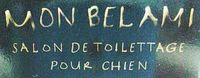 Logo Mon Bel Ami