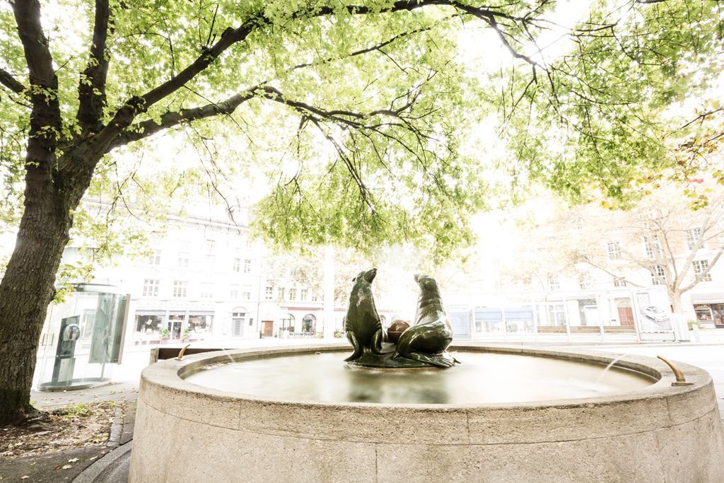 Zahnarztpraxis Dr. med. dent. Urs Schellenberg 8