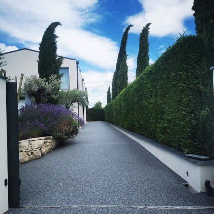 Allée en gravier gris bordée de haies vertes et de végétation.