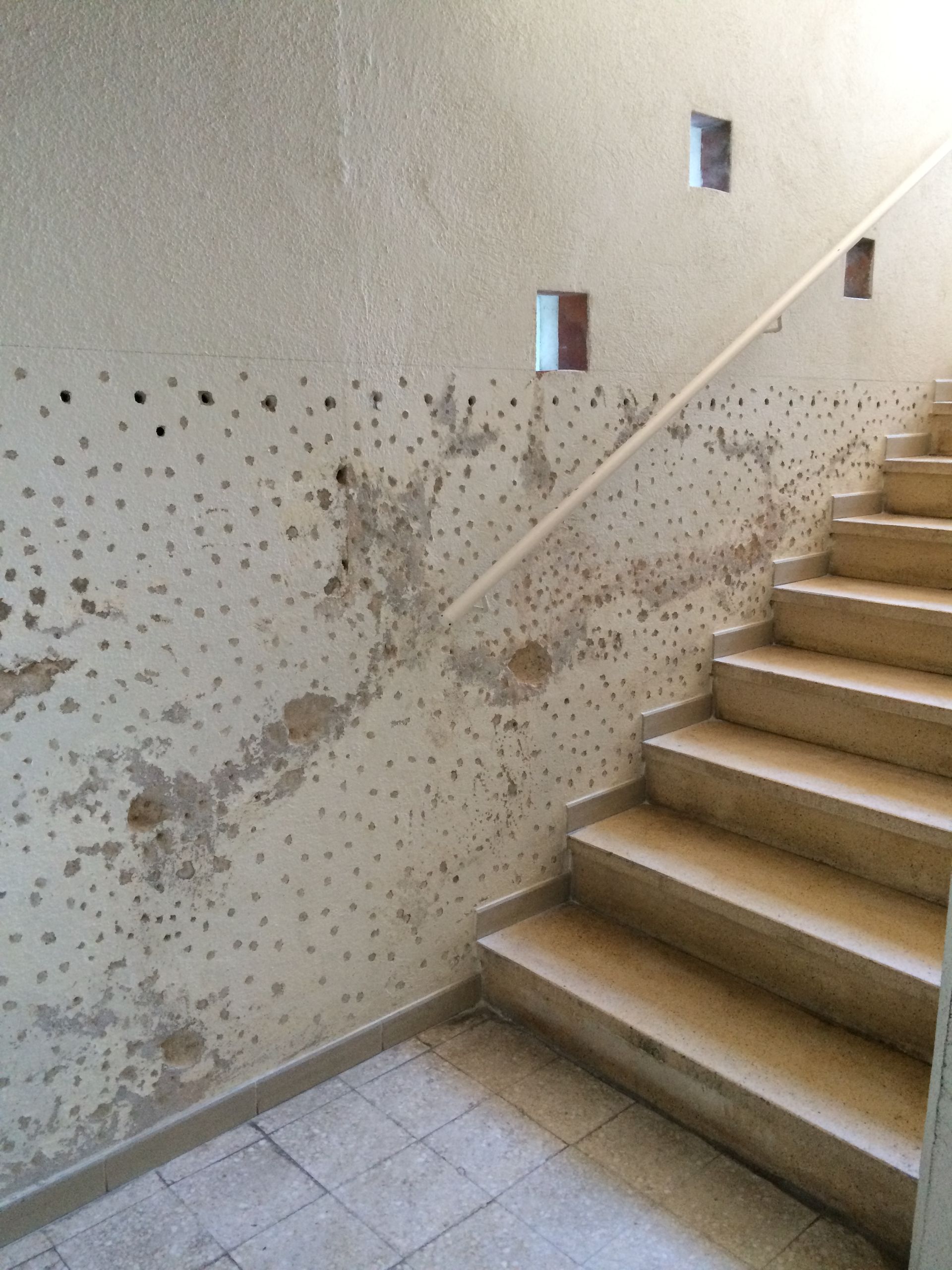 Escalier intérieur avec des murs montrant des signes de moisissure et de détérioration.