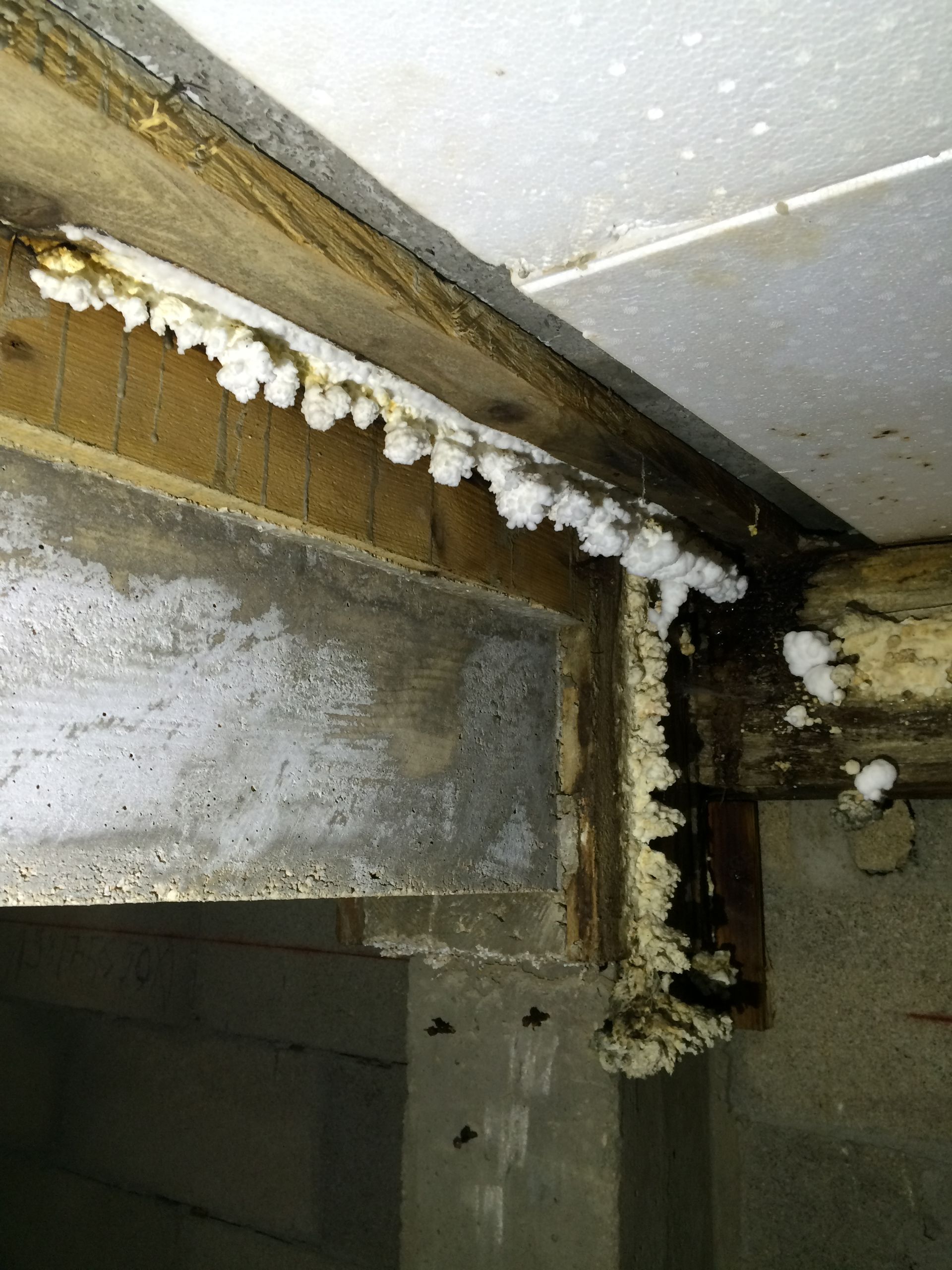 Structure en bois avec isolation dégradée et moisissure.