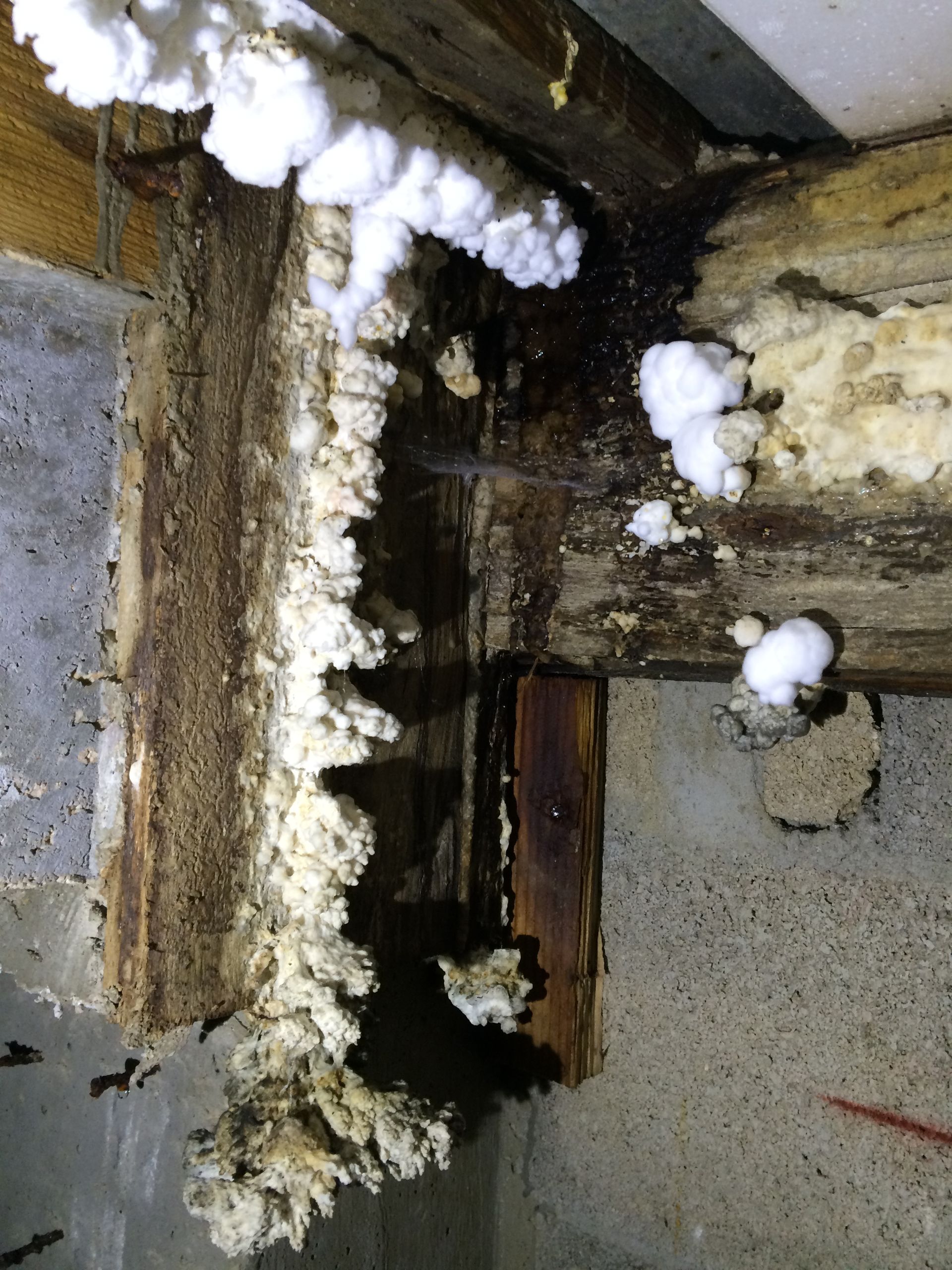 Structure en bois avec isolation dégradée et moisissure, vue différente.