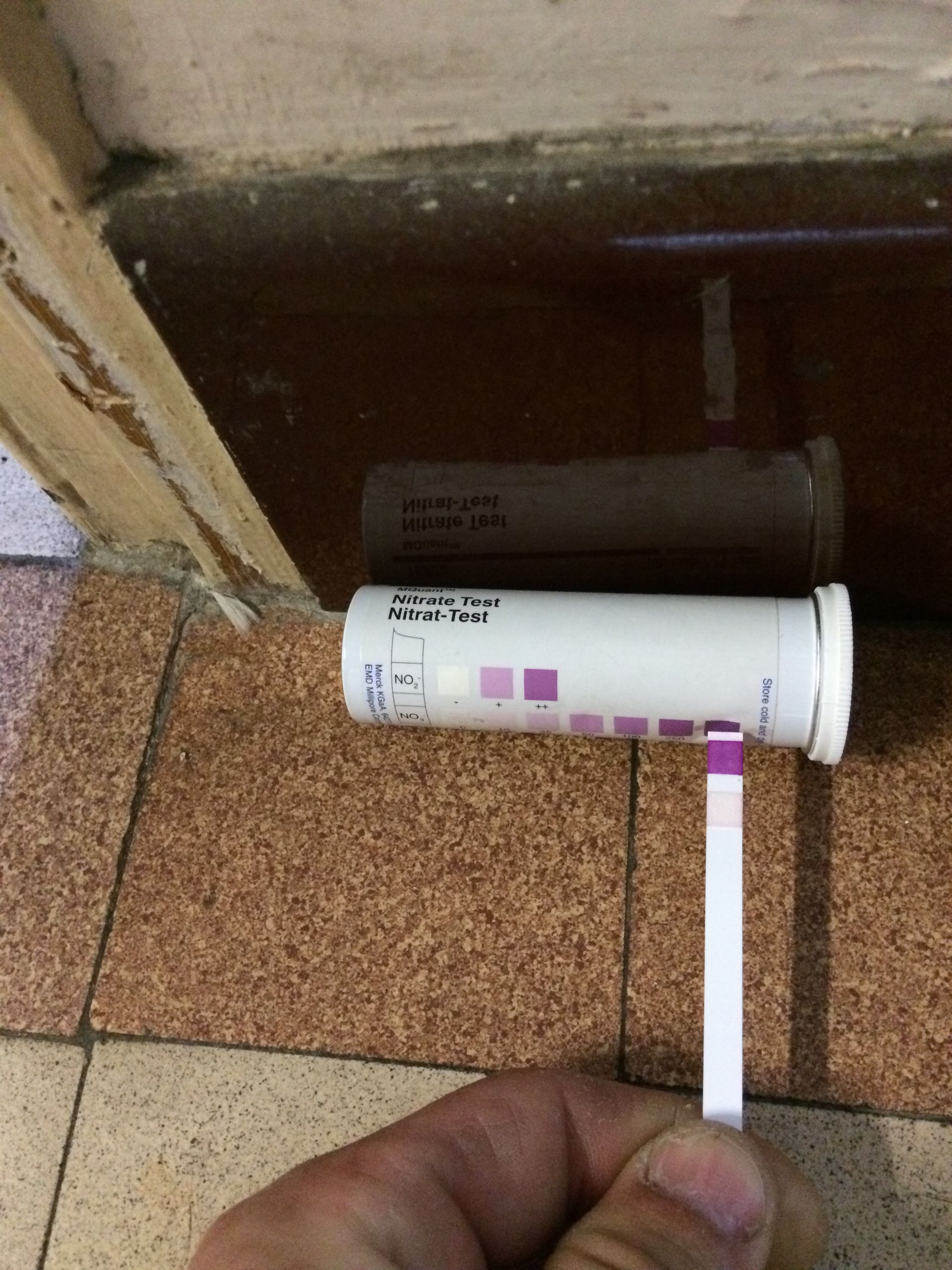 Test de nitrate avec une bandelette de test trempée dans un échantillon d'eau, montrant un résultat positif comparé à une échelle de couleurs.