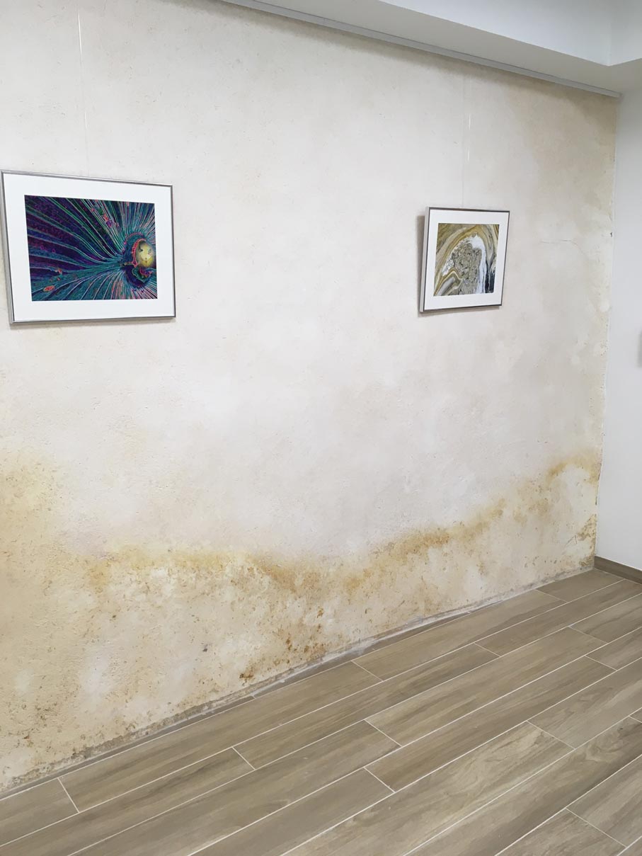 Traces laissées par les remontées capillaires