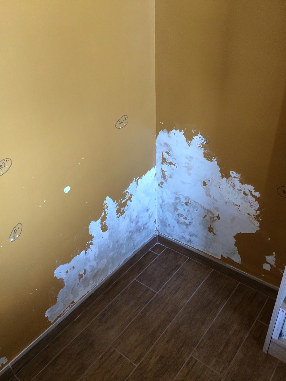 Mur abîmé par les remontées capillaires