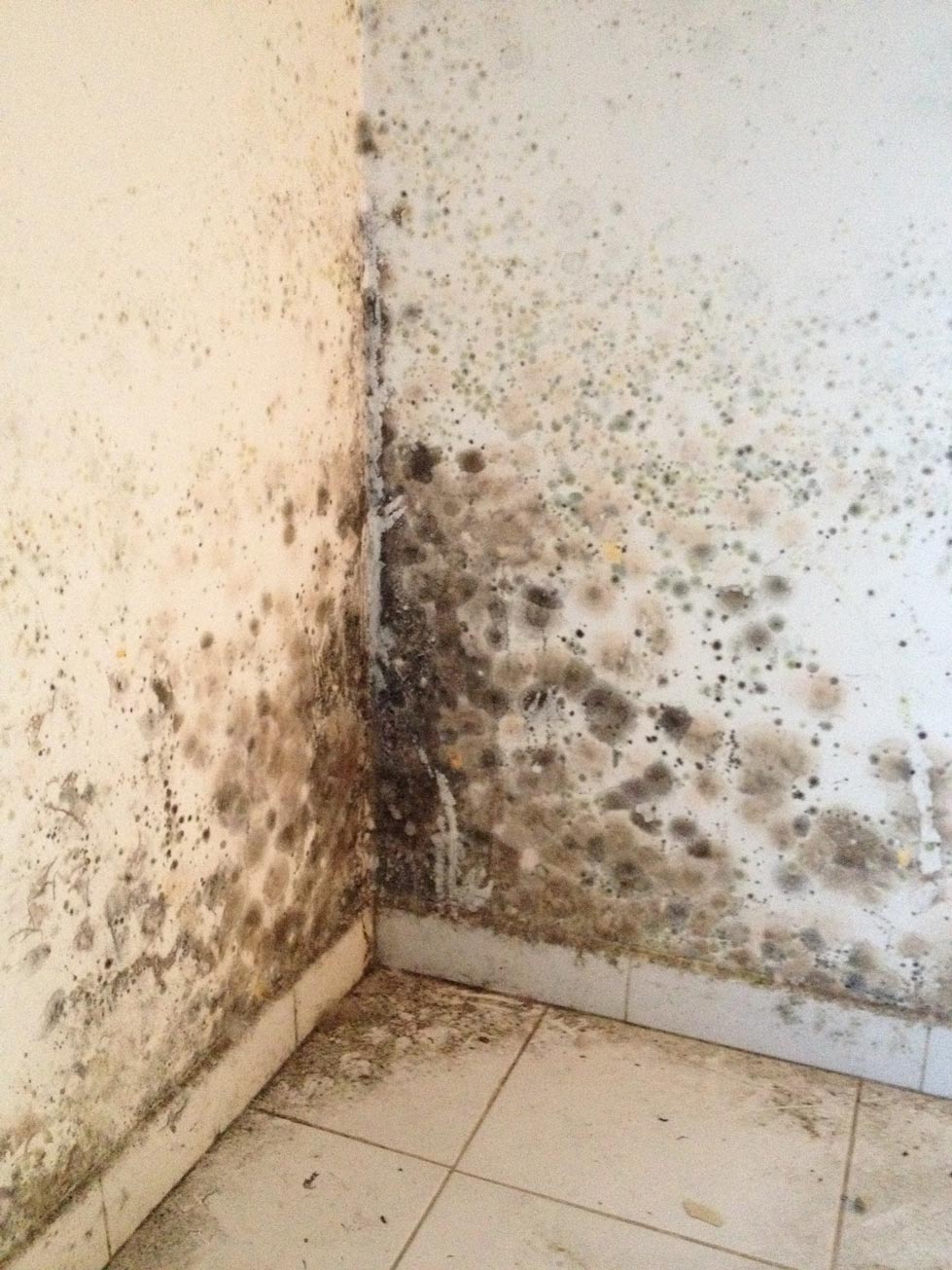 Taches d'humidité dans un angle