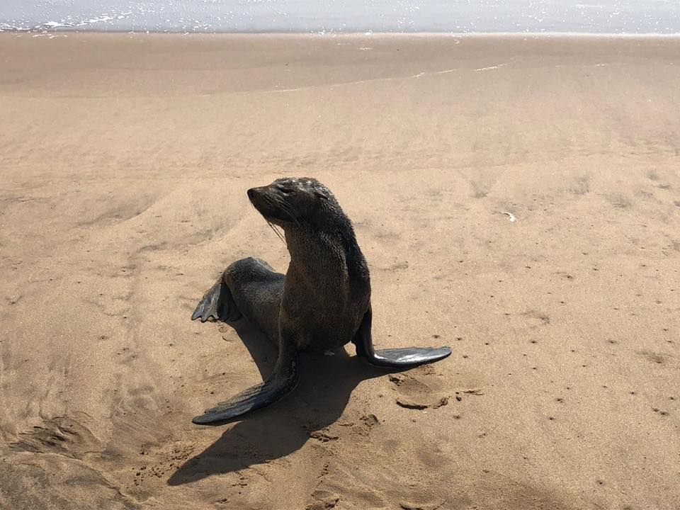 Reisebüro Am Eck | Bietigheim-Bissingen