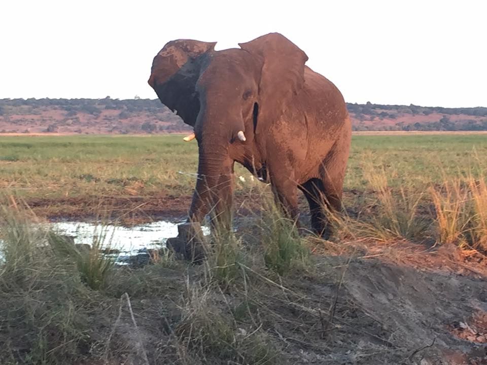 Reisebüro Am Eck | Bietigheim-Bissingen