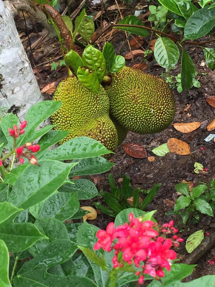 Reisebüro Am Eck | Bietigheim-Bissingen