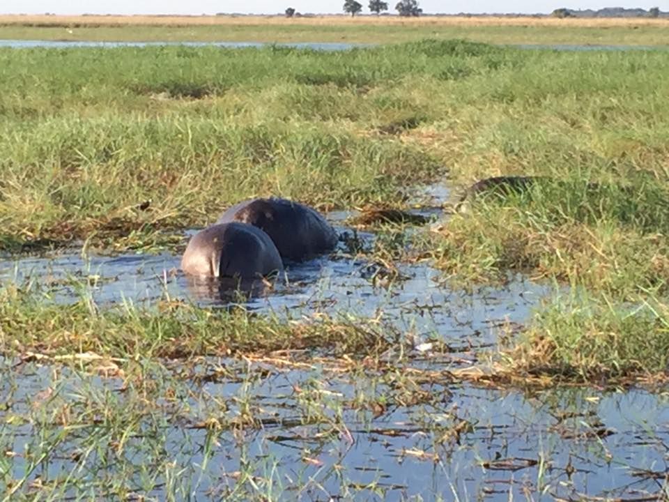Reisebüro Am Eck | Bietigheim-Bissingen