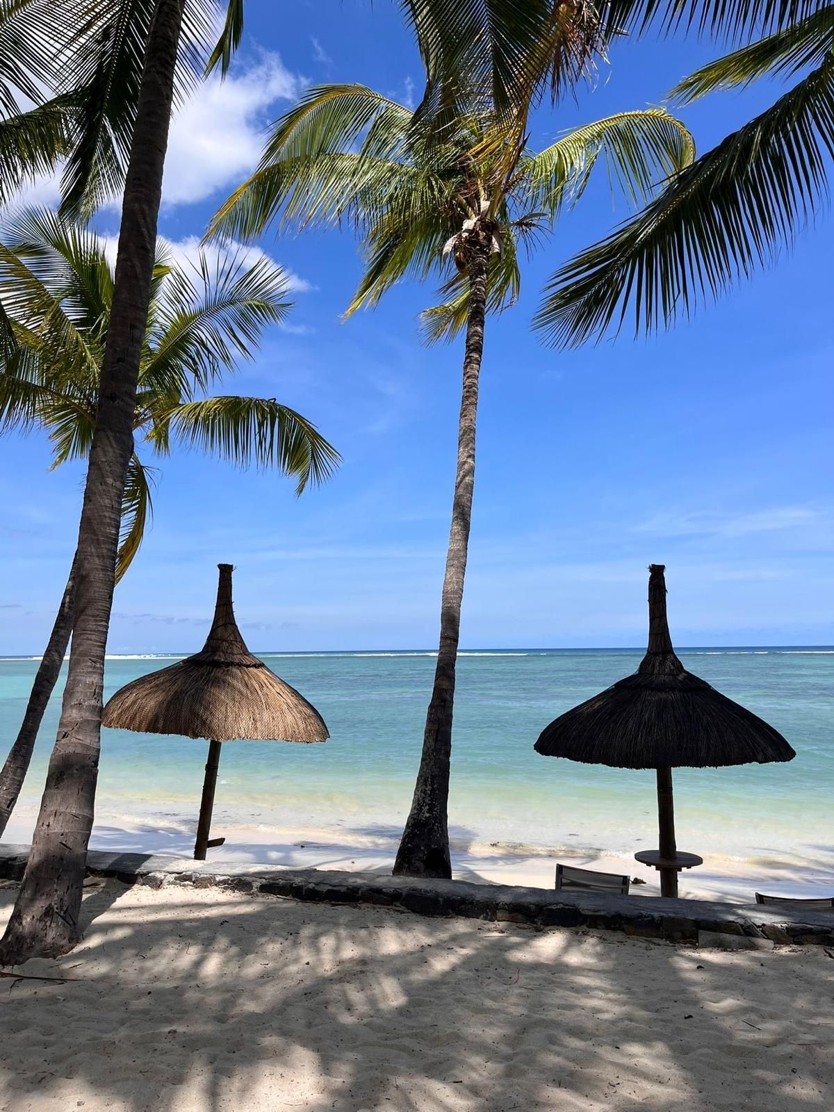 Kreuzfahrtschiff auf hoher See mit Abendhimmel