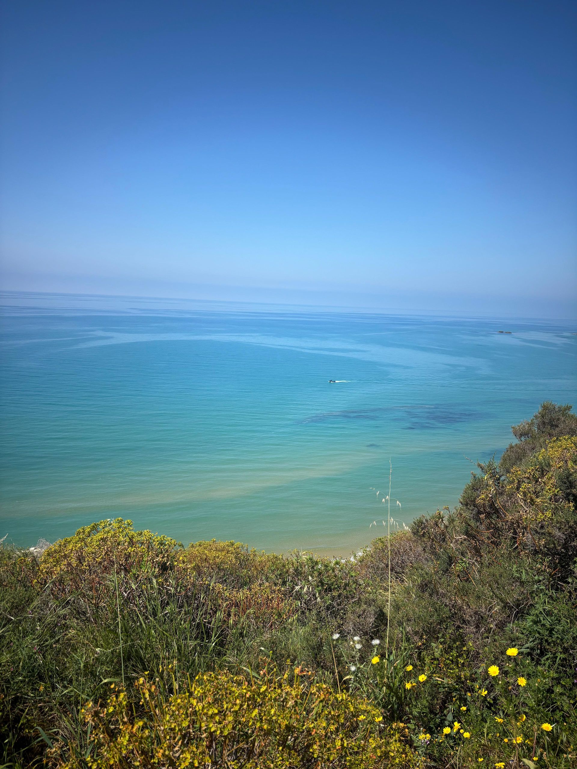 Blauer Ozean und Himmel hinter einer strauchbewachsenen Küstenklippe