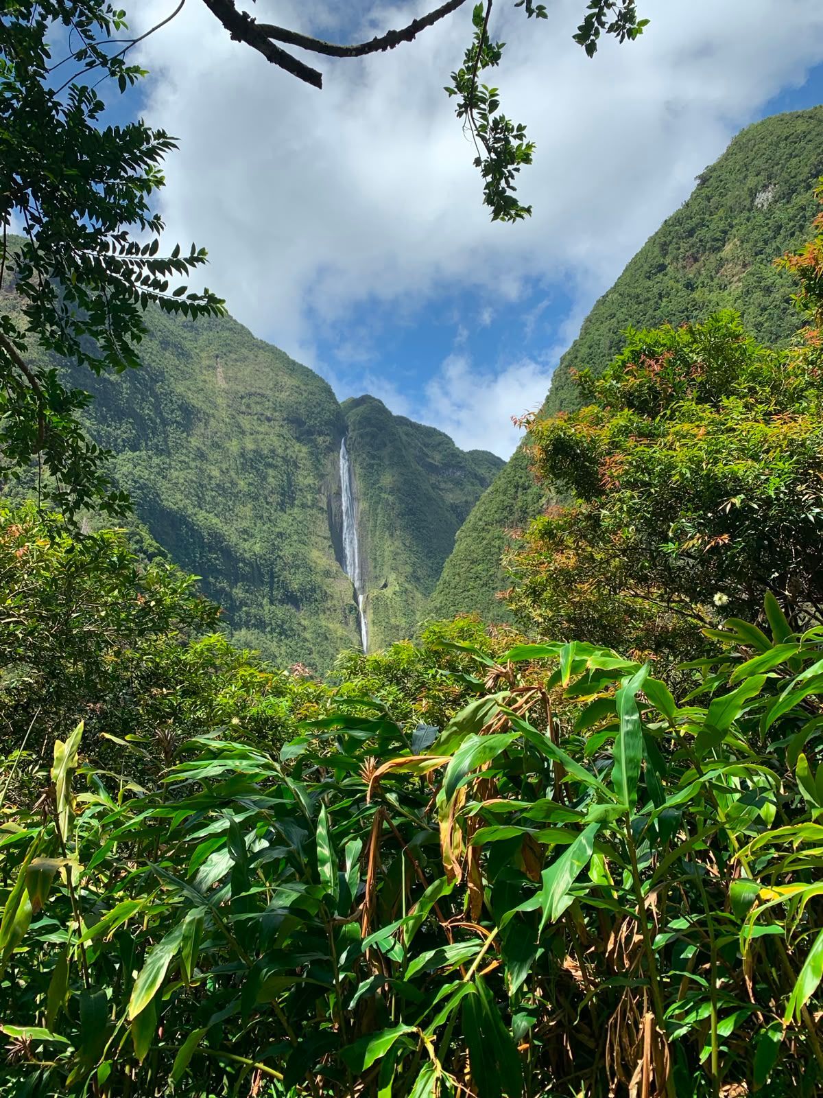 Ein üppig grünes Tal mit einem hohen Wasserfall zwischen steilen Bergen unter blauem Himmel