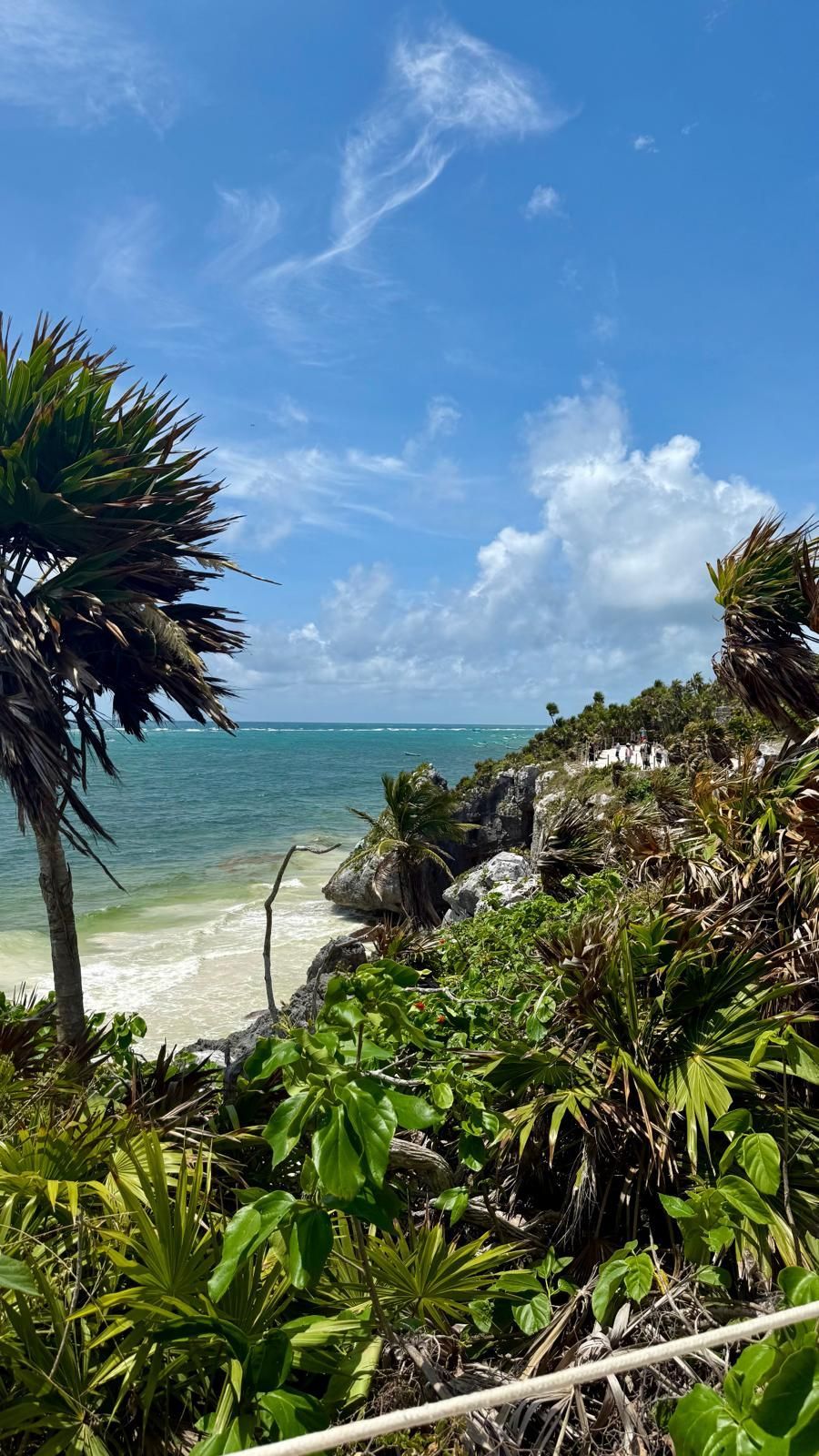 Tropische Küstenlinie mit blauem Meer, weißen Wolken und üppig grünen Pflanzen im Vordergrund