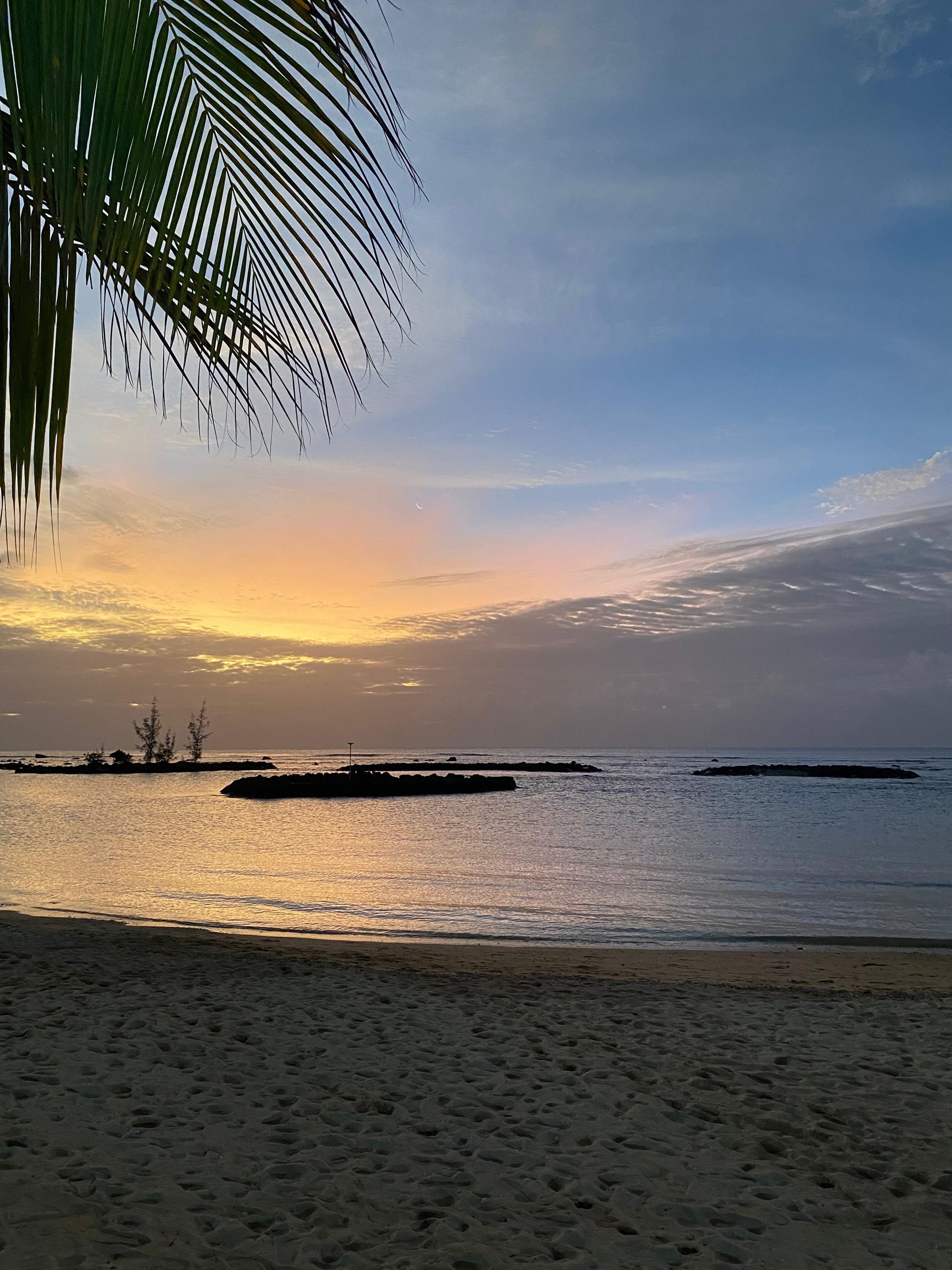 Sonnenuntergang über einem ruhigen Strand mit Palmenwedeln, sanften Wellen und fernen Schiffen am Horizont