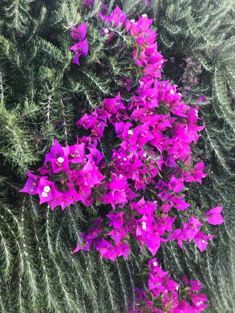 Reisebüro Am Eck | Bietigheim-Bissingen