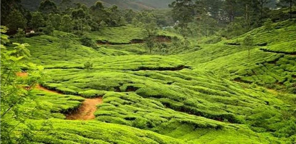 Reisebüro Am Eck | Bietigheim-Bissingen