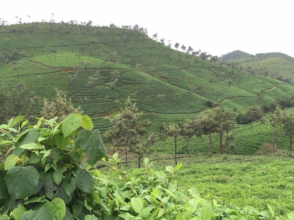 Reisebüro Am Eck | Bietigheim-Bissingen