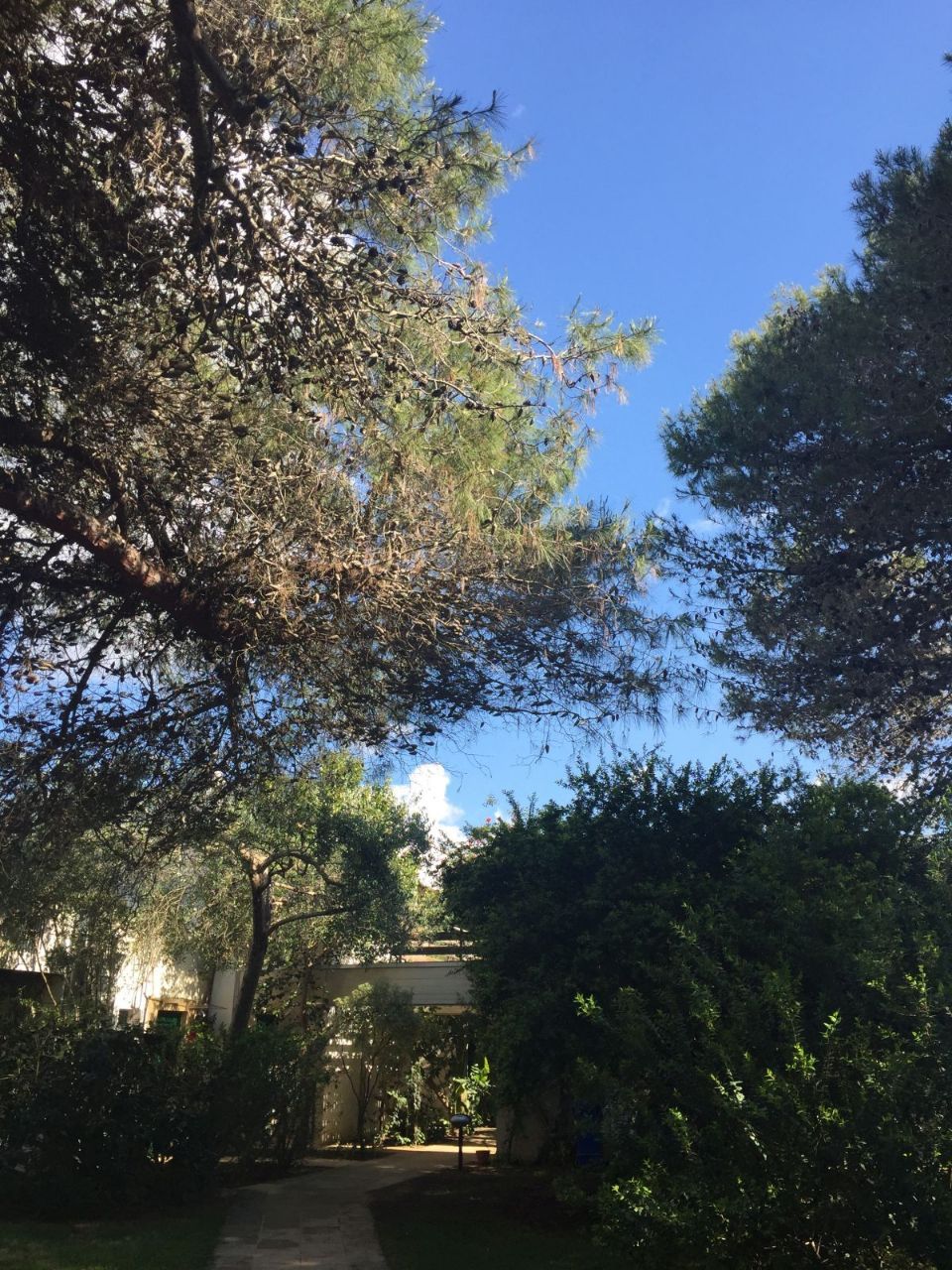 Reisebüro Am Eck | Bietigheim-Bissingen