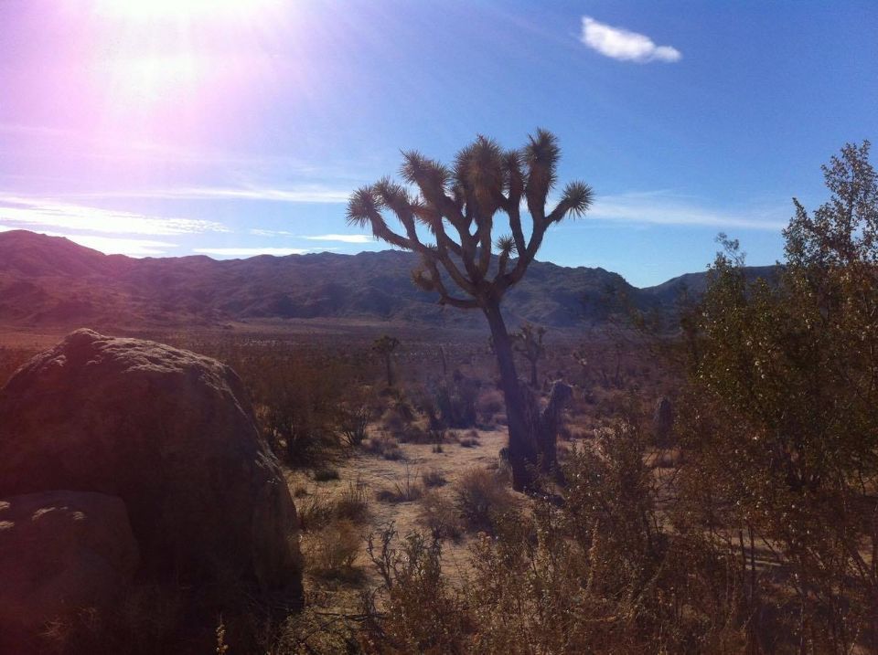 Reisebüro Am Eck | Bietigheim-Bissingen