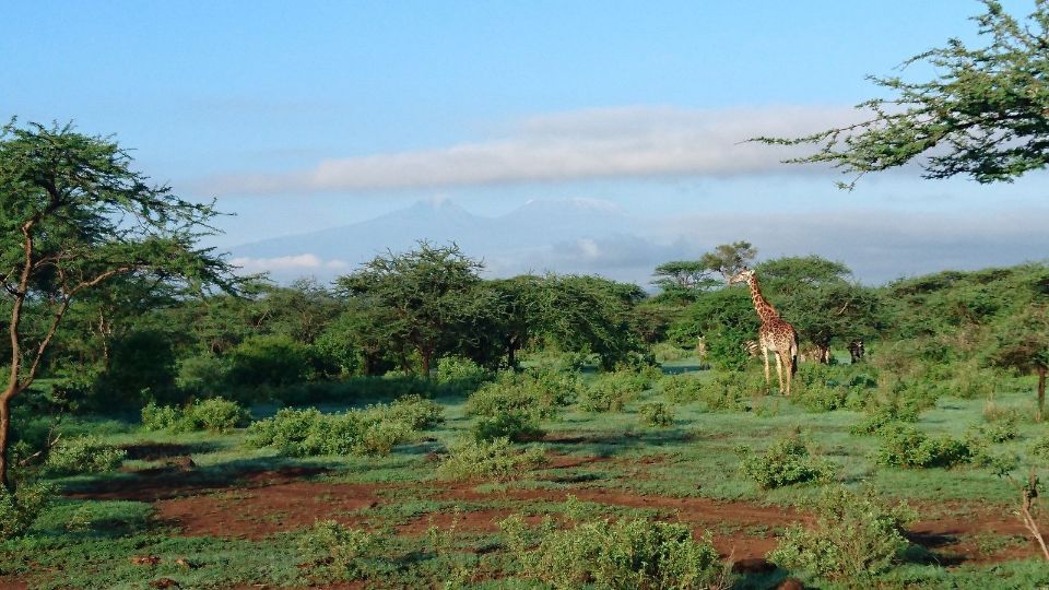 Reisebüro Am Eck | Bietigheim-Bissingen