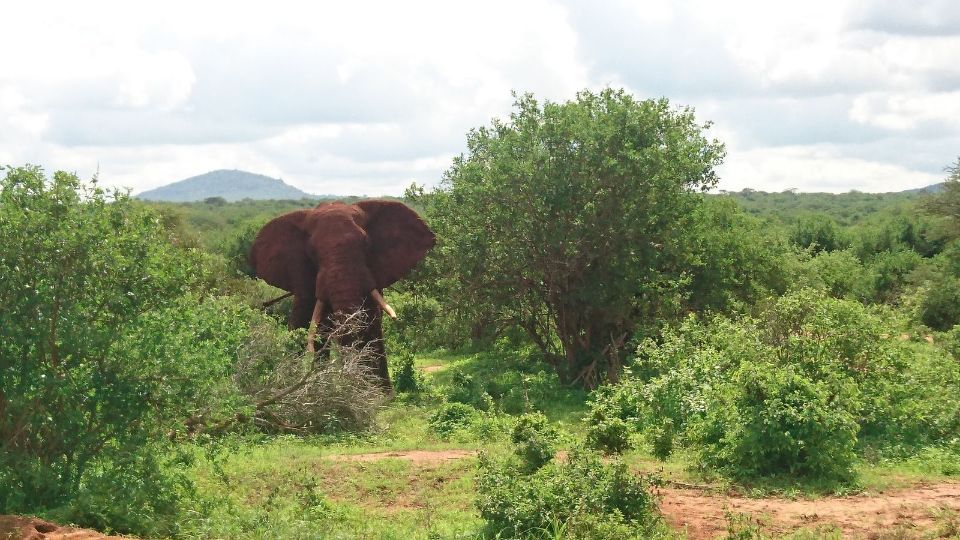 Reisebüro Am Eck | Bietigheim-Bissingen