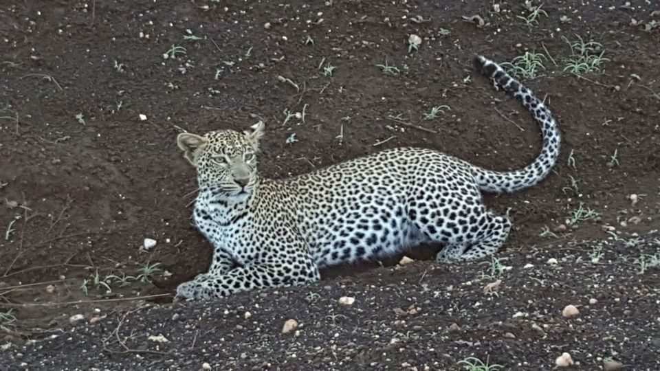 Reisebüro Am Eck | Bietigheim-Bissingen