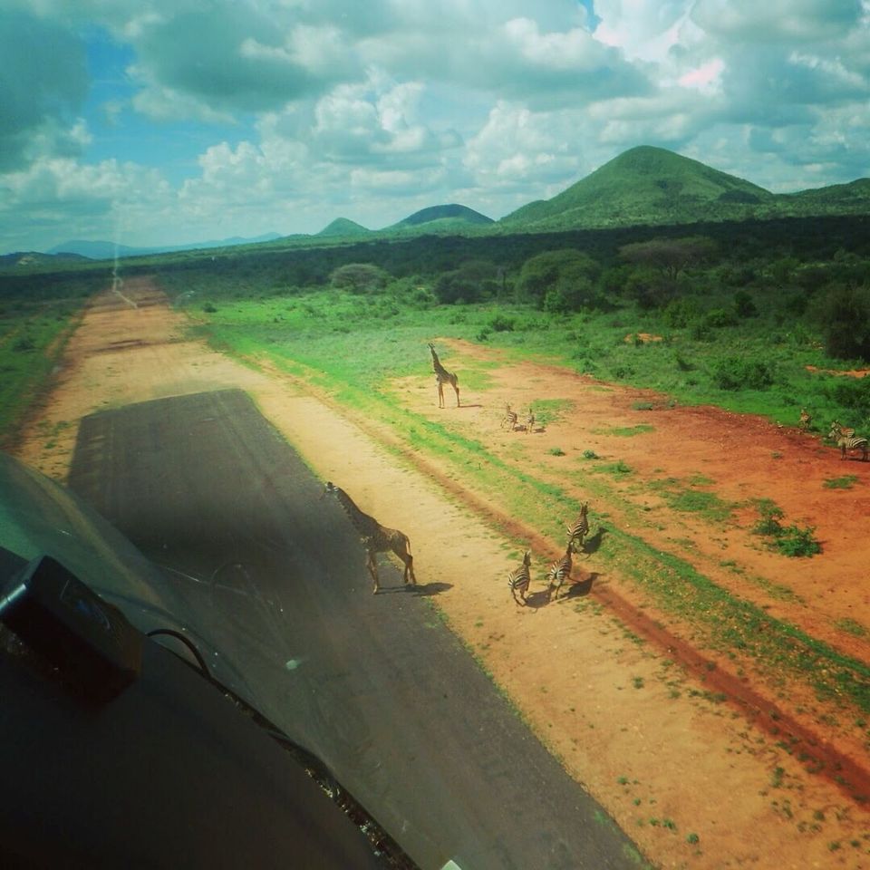 Reisebüro Am Eck | Bietigheim-Bissingen