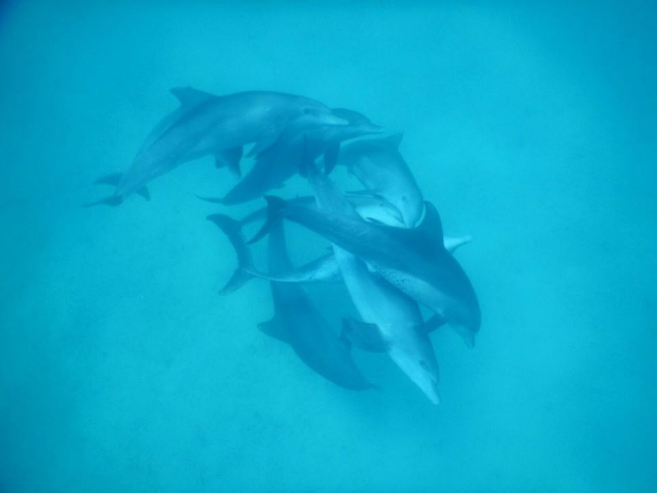 Reisebüro Am Eck | Bietigheim-Bissingen