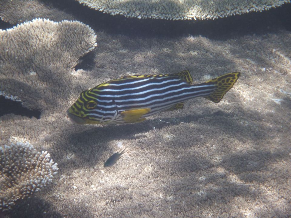 Reisebüro Am Eck | Bietigheim-Bissingen