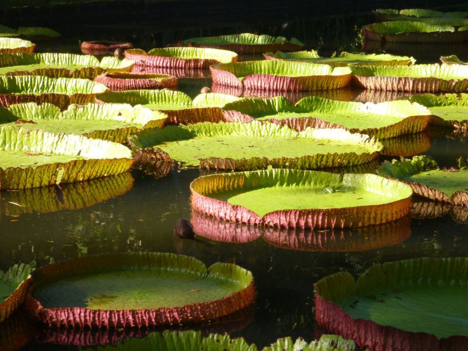 Reisebüro Am Eck | Bietigheim-Bissingen