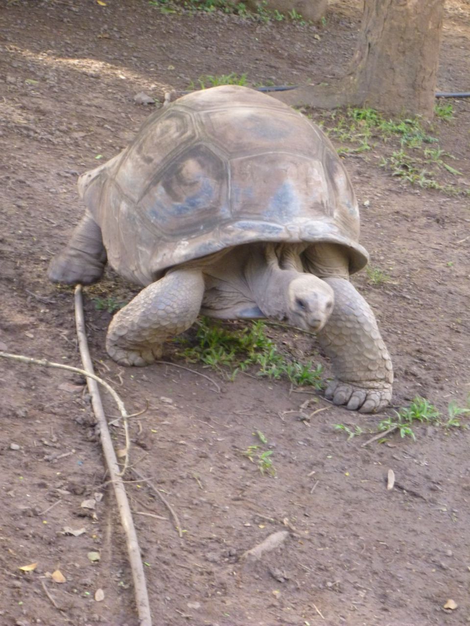 Reisebüro Am Eck | Bietigheim-Bissingen