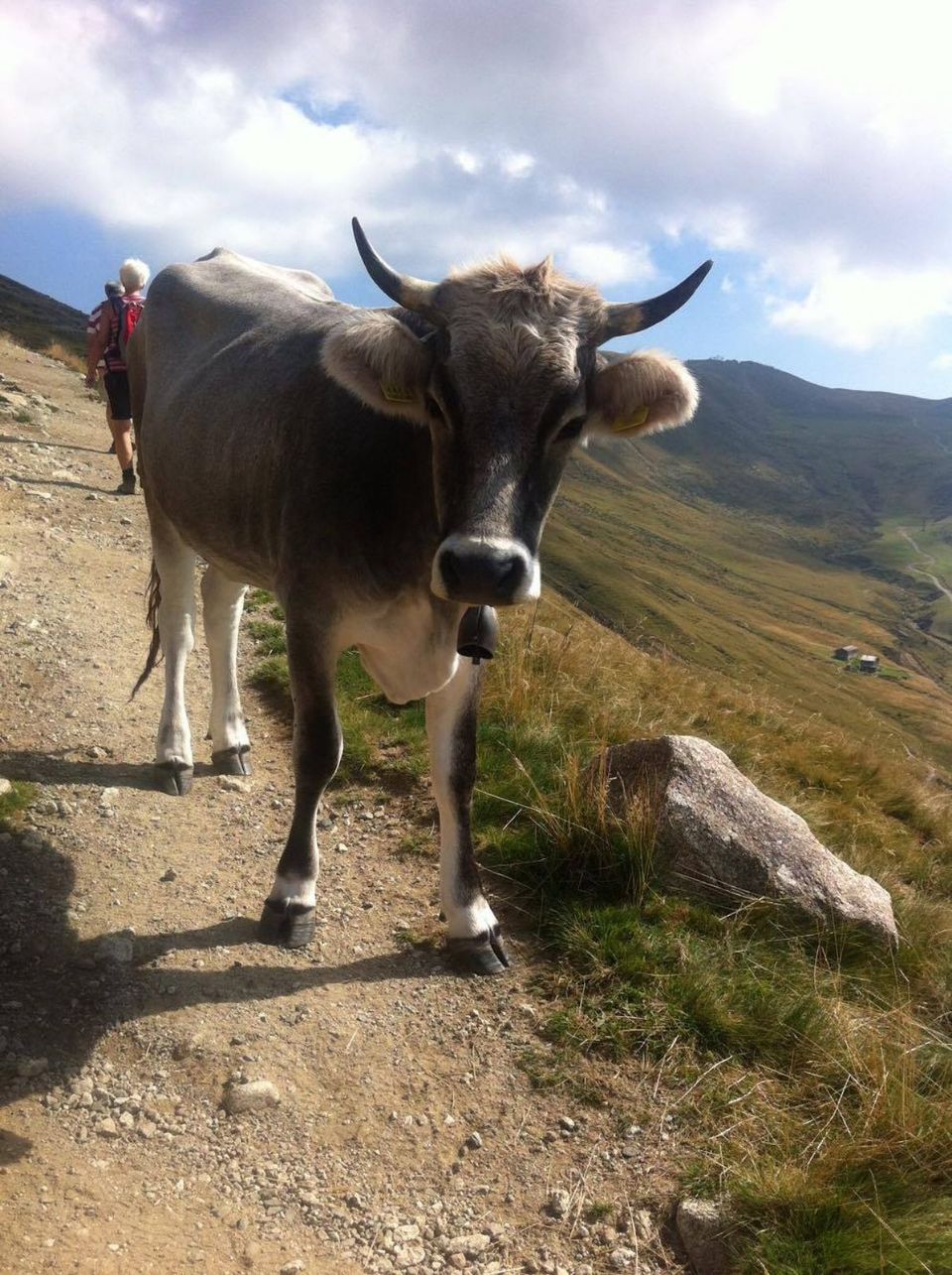 Reisebüro Am Eck | Bietigheim-Bissingen