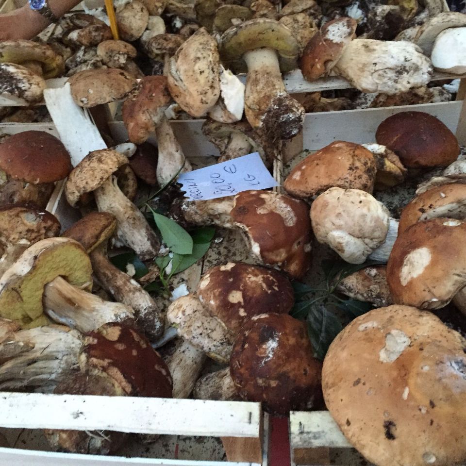 Reisebüro Am Eck | Bietigheim-Bissingen