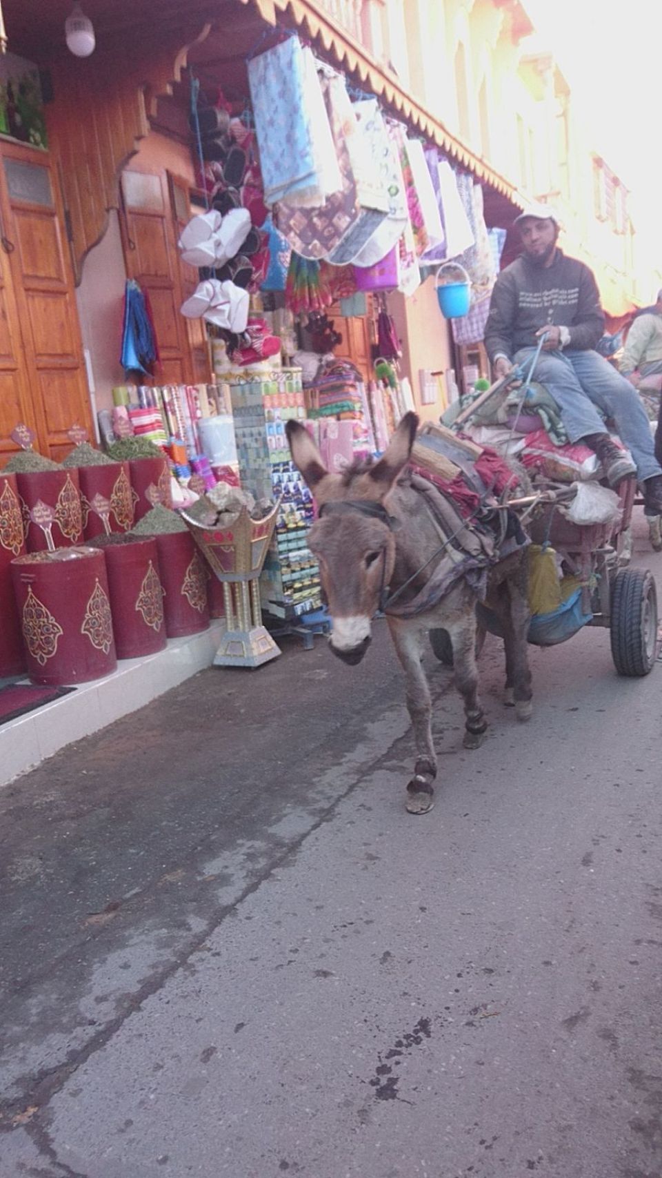 Reisebüro Am Eck | Bietigheim-Bissingen