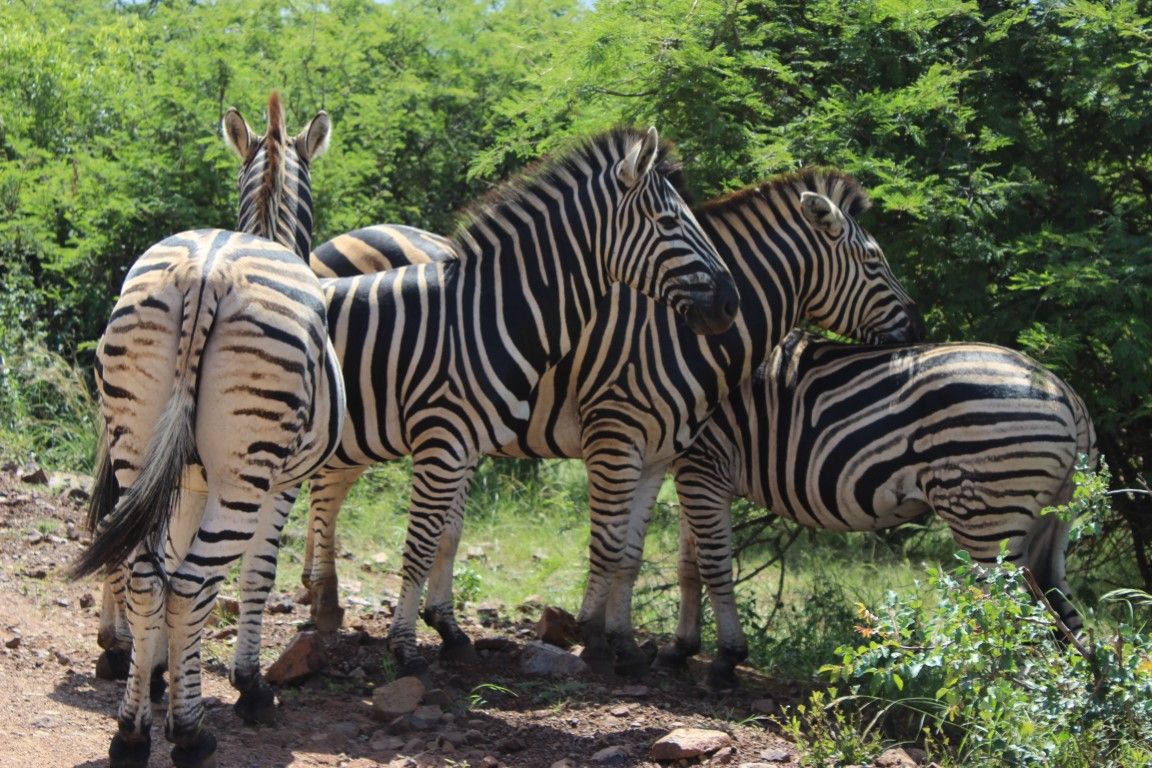 Reisebüro Am Eck | Bietigheim-Bissingen
