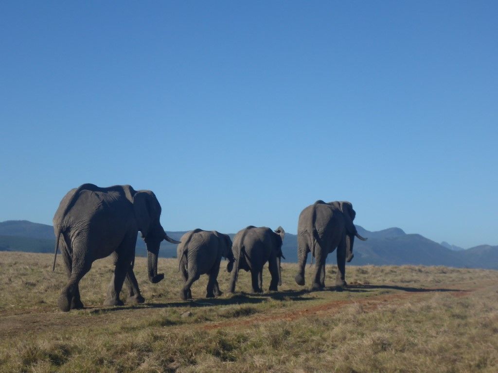 Reisebüro Am Eck | Bietigheim-Bissingen