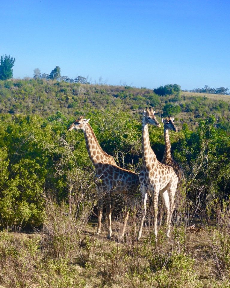 Reisebüro Am Eck | Bietigheim-Bissingen
