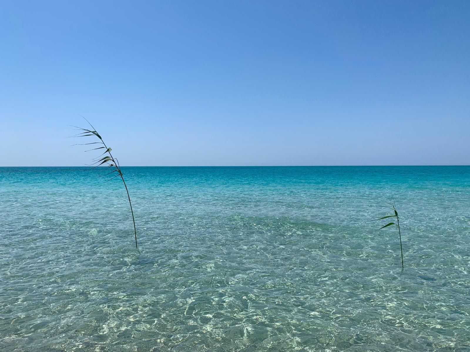 Reisebüro Am Eck | Bietigheim-Bissingen