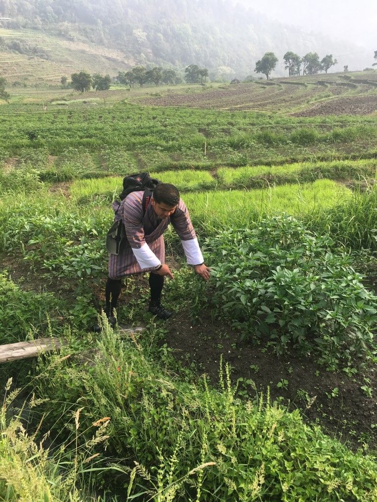 Reisebüro Am Eck | Bietigheim-Bissingen