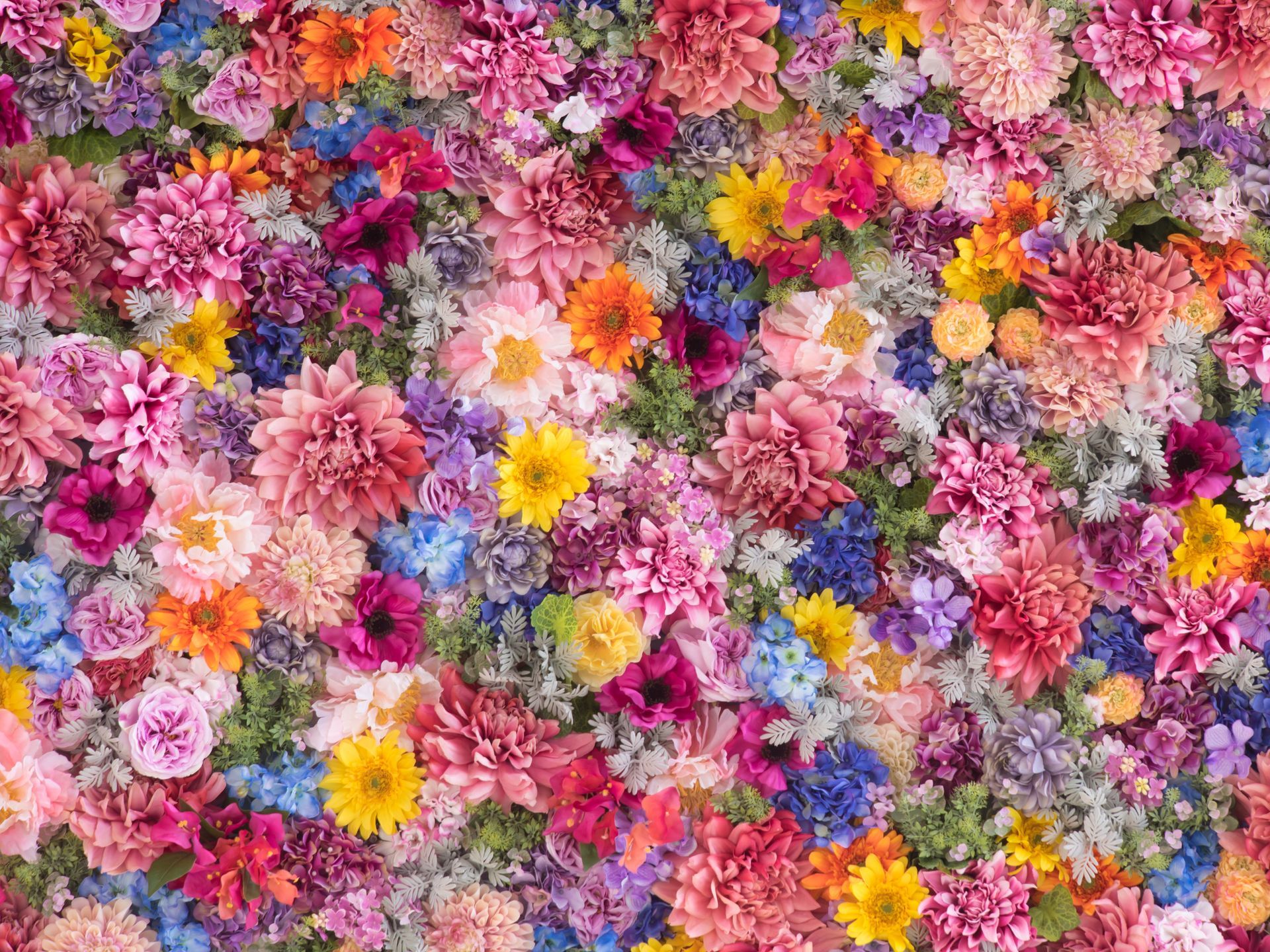 Un tapis de fleurs