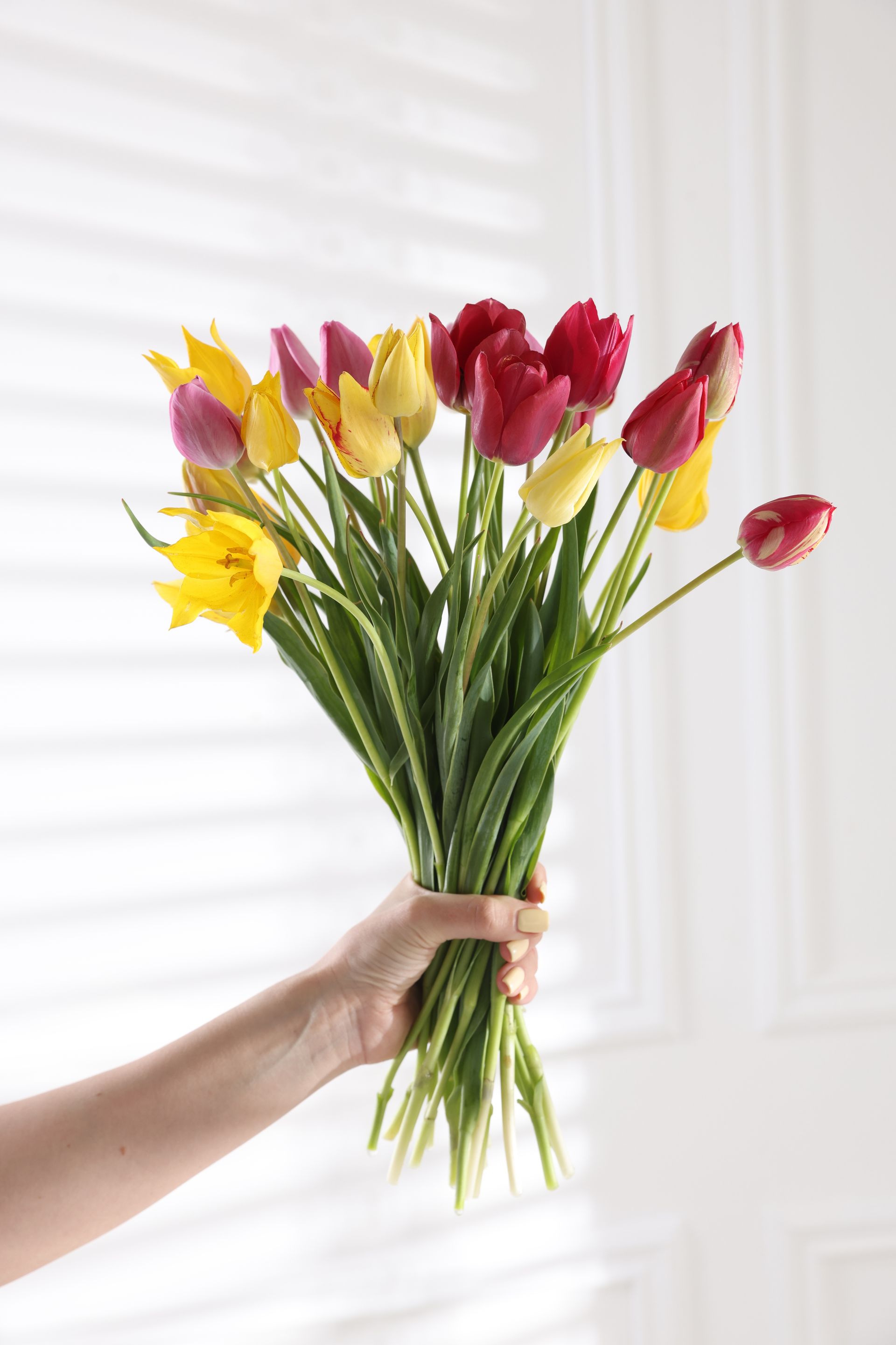 Un bouquet de tulipes rouge et jaune