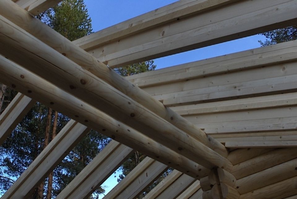 Hirsitalon rakenteita