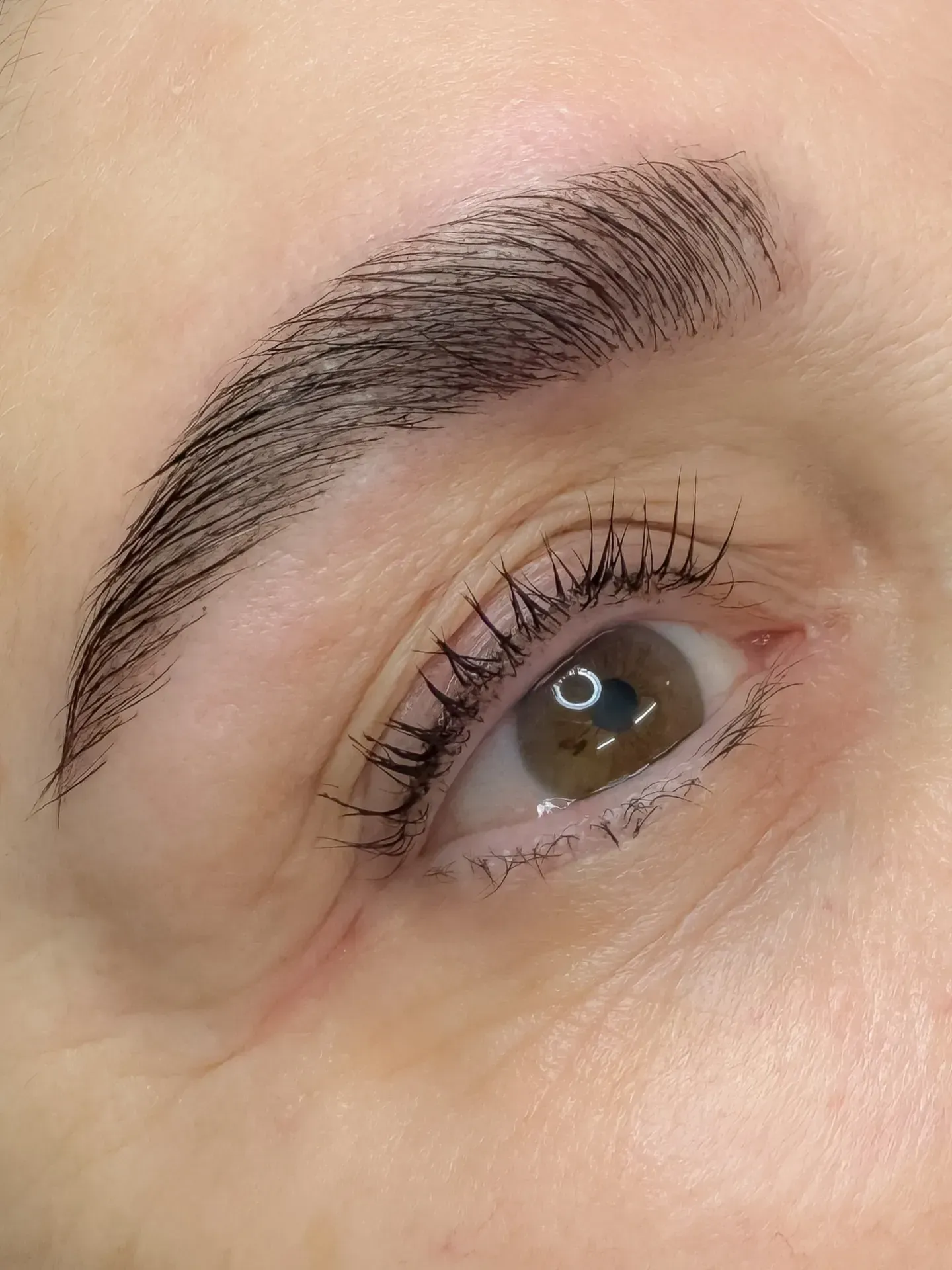 Primer plano de un ojo con una ceja oscura perfectamente arqueada y pestañas largas.