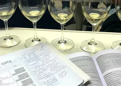 Copas de vino con vino blanco sobre una mesa, cuaderno con notas de cata abierto.