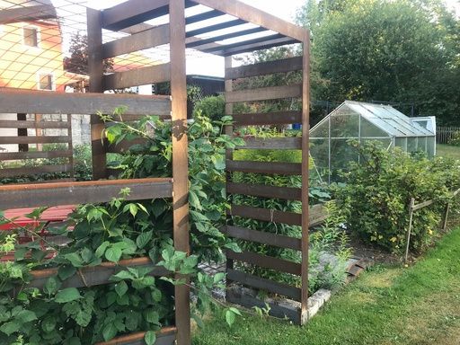 Holzgitter in einem Garten mit Kletterpflanzen, einem Gewächshaus und grünem Rasen.