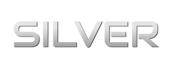 Logo Silver